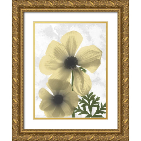 Bright Magnolia 2 Gold Ornate Wood Framed Art Print with Double Matting by Koetsier, Albert