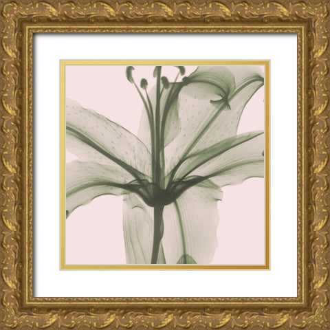 Entranced Lily Gold Ornate Wood Framed Art Print with Double Matting by Koetsier, Albert