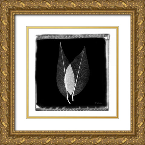 Caplulin Cherry STAR Gold Ornate Wood Framed Art Print with Double Matting by Koetsier, Albert