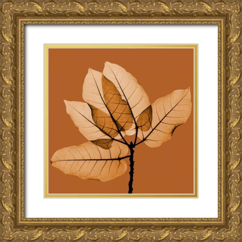 Harvest Leaves 1C Gold Ornate Wood Framed Art Print with Double Matting by Koetsier, Albert