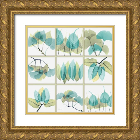 Citrus Leaves SC Gold Ornate Wood Framed Art Print with Double Matting by Koetsier, Albert