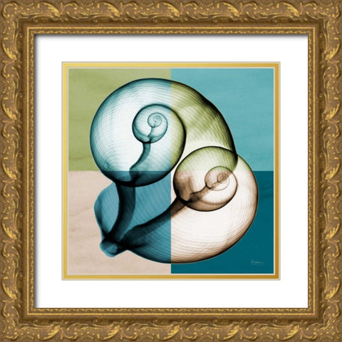 Blue Green Shell 1 Gold Ornate Wood Framed Art Print with Double Matting by Koetsier, Albert