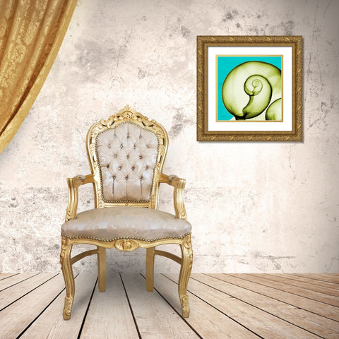 Moon Snail Gold Ornate Wood Framed Art Print with Double Matting by Koetsier, Albert