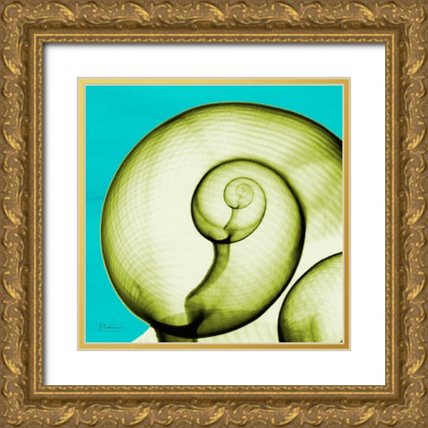 Moon Snail Gold Ornate Wood Framed Art Print with Double Matting by Koetsier, Albert