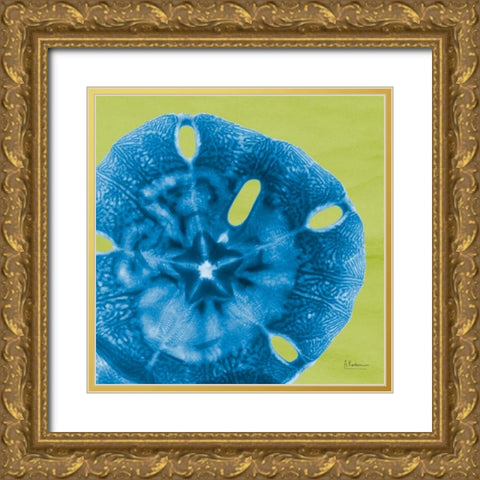 Sand Dollar Gold Ornate Wood Framed Art Print with Double Matting by Koetsier, Albert