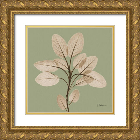 Berggarten Sage Gold Ornate Wood Framed Art Print with Double Matting by Koetsier, Albert