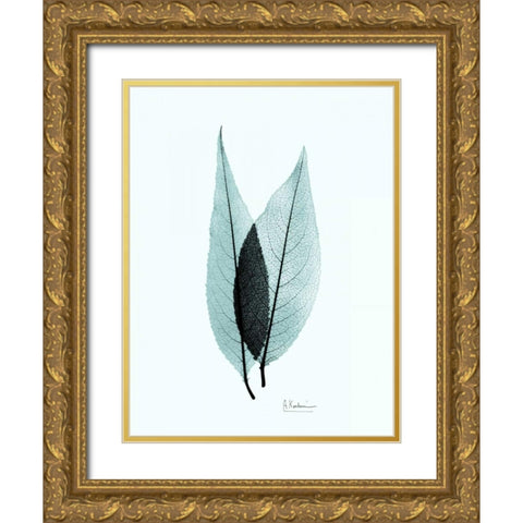Caplulin Cherry Teal Gold Ornate Wood Framed Art Print with Double Matting by Koetsier, Albert