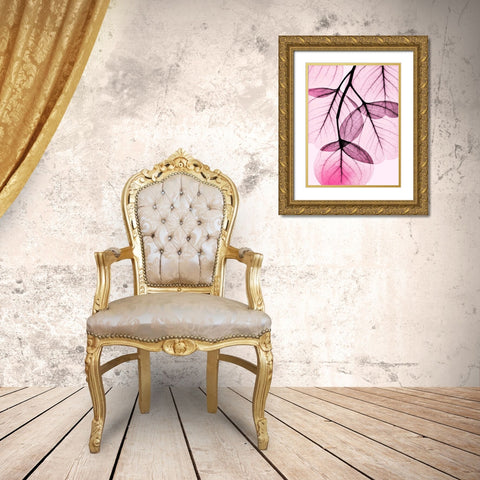 Pink Eucalyptus Gold Ornate Wood Framed Art Print with Double Matting by Koetsier, Albert