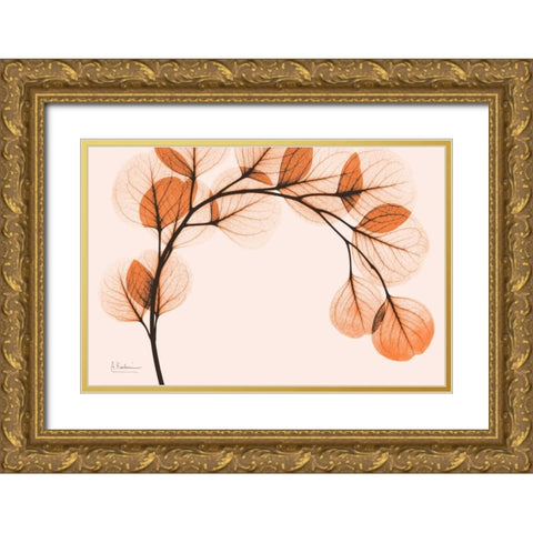 Orange Eucalyptus Gold Ornate Wood Framed Art Print with Double Matting by Koetsier, Albert