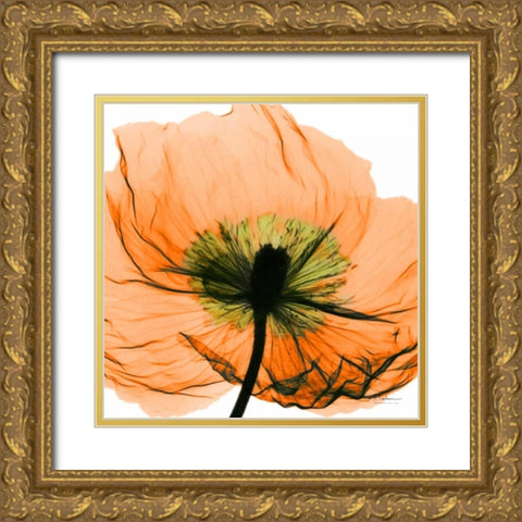 Poppy Orange Gold Ornate Wood Framed Art Print with Double Matting by Koetsier, Albert