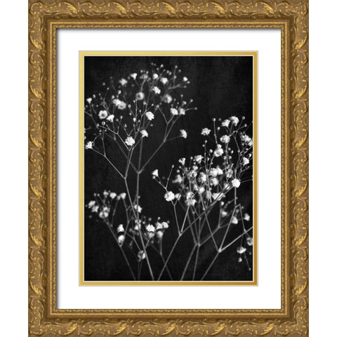 Delicate 1 Gold Ornate Wood Framed Art Print with Double Matting by Bailey, Ann