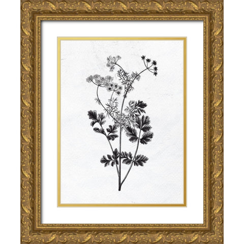 Pressed Herbs 2 Gold Ornate Wood Framed Art Print with Double Matting by Bailey, Ann