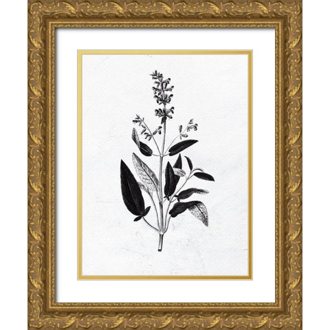 Pressed Herbs 3 Gold Ornate Wood Framed Art Print with Double Matting by Bailey, Ann