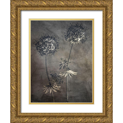 Puff 2 Gold Ornate Wood Framed Art Print with Double Matting by Bailey, Ann