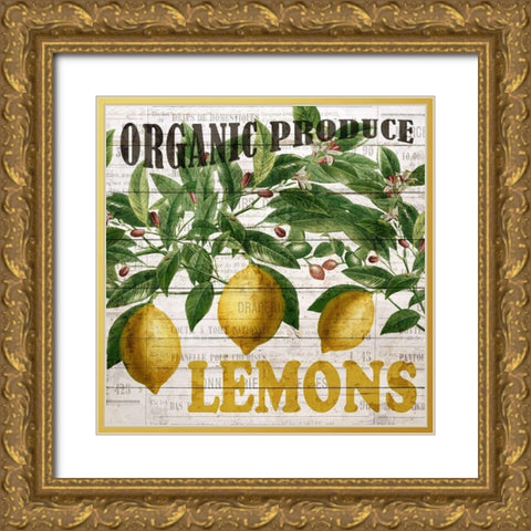 Fresh Picked Lemons Gold Ornate Wood Framed Art Print with Double Matting by Bailey, Ann