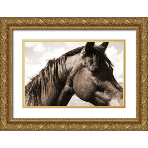Solitary Horse Gold Ornate Wood Framed Art Print with Double Matting by Alvarez, Cynthia