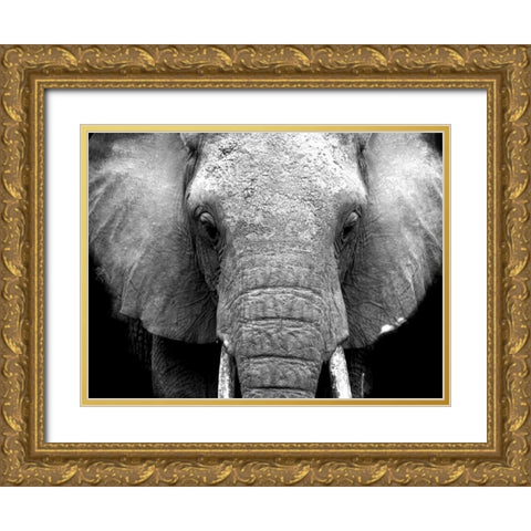 Elephant Lore Gold Ornate Wood Framed Art Print with Double Matting by Alvarez, Cynthia