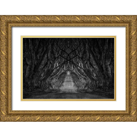 Black And White Trees Gold Ornate Wood Framed Art Print with Double Matting by Brown, Denise