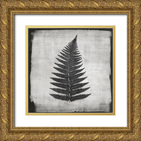 Noir Fern 1 Gold Ornate Wood Framed Art Print with Double Matting by Brown, Denise