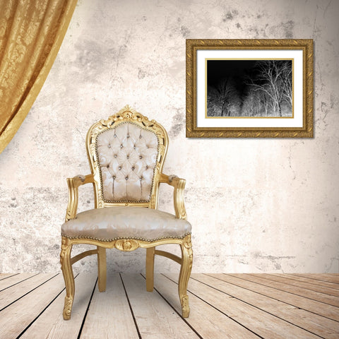 Branches Gold Ornate Wood Framed Art Print with Double Matting by Frances, Stephanie