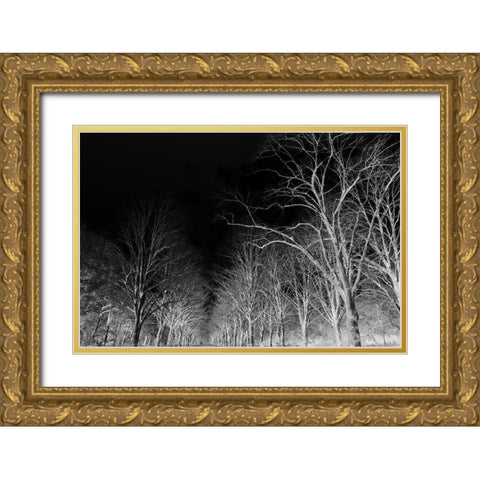 Branches Gold Ornate Wood Framed Art Print with Double Matting by Frances, Stephanie