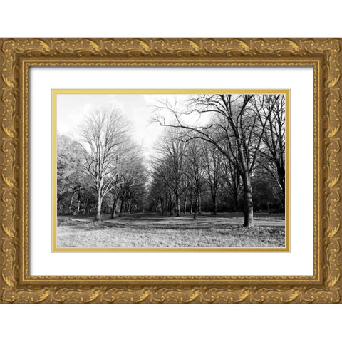 Path Way Gold Ornate Wood Framed Art Print with Double Matting by Frances, Stephanie