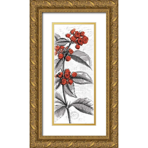 Red Flower Gold Ornate Wood Framed Art Print with Double Matting by Grey, Jace