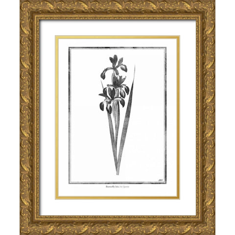Butterfly Iris Gold Ornate Wood Framed Art Print with Double Matting by Grey, Jace