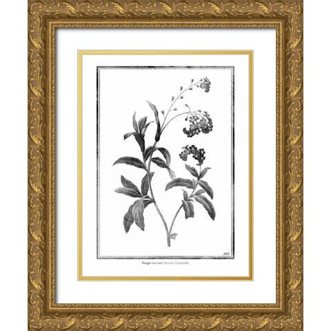 Forget me not Gold Ornate Wood Framed Art Print with Double Matting by Grey, Jace