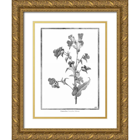 Commelina Gold Ornate Wood Framed Art Print with Double Matting by Grey, Jace