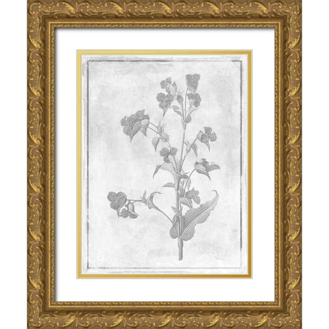 Monochrome Floral Cleaner 1 Gold Ornate Wood Framed Art Print with Double Matting by Grey, Jace