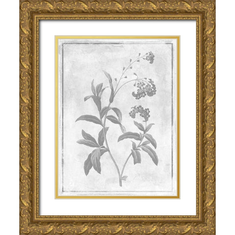Monochrome Floral Cleaner 2 Gold Ornate Wood Framed Art Print with Double Matting by Grey, Jace