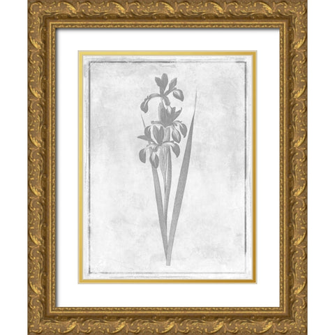 Monochrome Floral Cleaner 4 Gold Ornate Wood Framed Art Print with Double Matting by Grey, Jace