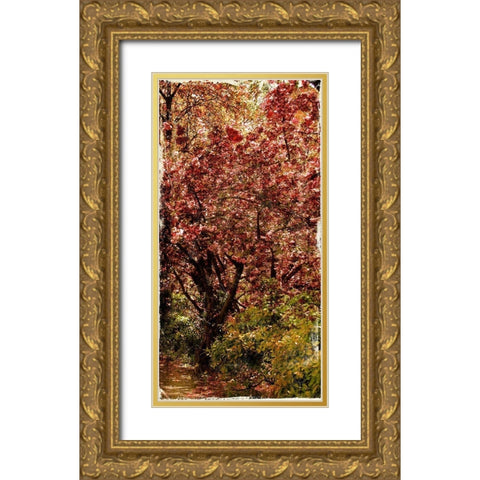 Ny Fall Trees Gold Ornate Wood Framed Art Print with Double Matting by Grey, Jace