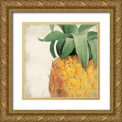 Pineapple Gold Ornate Wood Framed Art Print with Double Matting by Grey, Jace