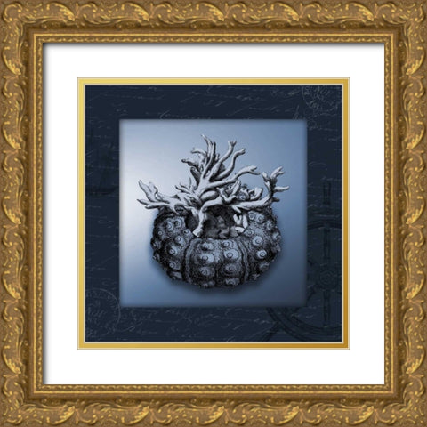 Nautical blue bordered Gold Ornate Wood Framed Art Print with Double Matting by Grey, Jace