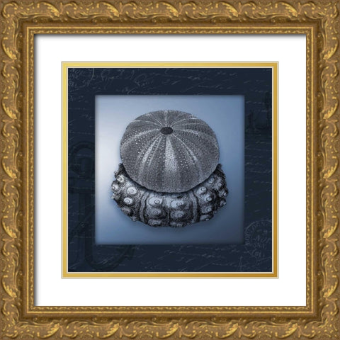 Nautical blue mate Bordered Gold Ornate Wood Framed Art Print with Double Matting by Grey, Jace