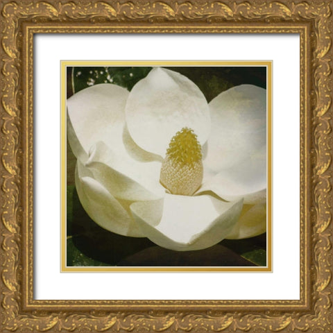 MAG Mate Gold Ornate Wood Framed Art Print with Double Matting by Grey, Jace