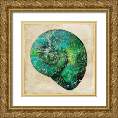 Map Shell2 Gold Ornate Wood Framed Art Print with Double Matting by Grey, Jace