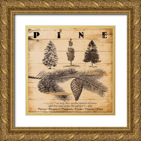 Pine Burnt Gold Ornate Wood Framed Art Print with Double Matting by Grey, Jace