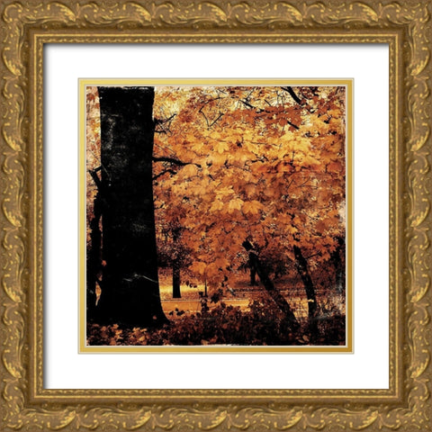 Fall Forest Mate Gold Ornate Wood Framed Art Print with Double Matting by Grey, Jace