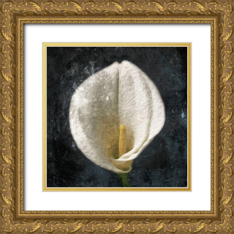 Dark Tulip Gold Ornate Wood Framed Art Print with Double Matting by Grey, Jace