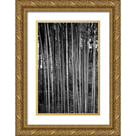 Beach Foliage 2 Gold Ornate Wood Framed Art Print with Double Matting by Grey, Jace