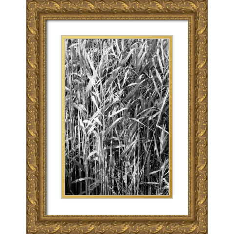 Beach Foliage 4 Gold Ornate Wood Framed Art Print with Double Matting by Grey, Jace