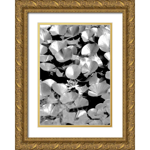 Beach Foliage 5 Gold Ornate Wood Framed Art Print with Double Matting by Grey, Jace