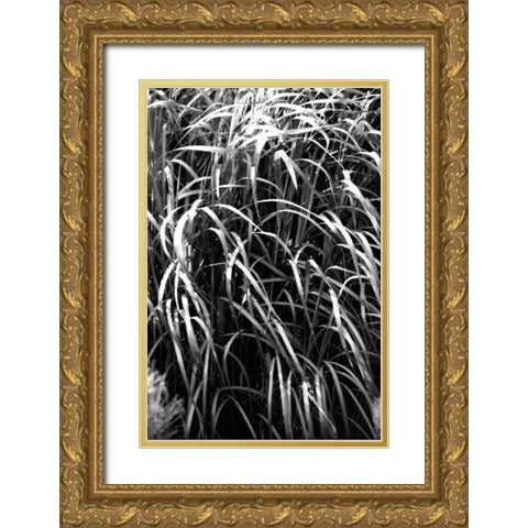 Beach Foliage 7 Gold Ornate Wood Framed Art Print with Double Matting by Grey, Jace