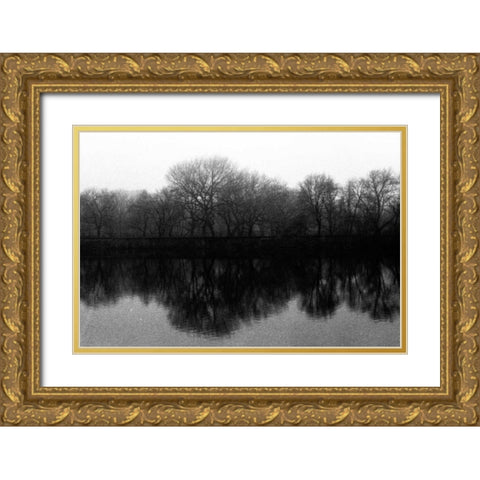 entral Park As Above So Below Gold Ornate Wood Framed Art Print with Double Matting by Grey, Jace
