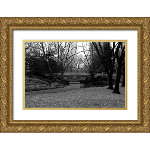 Central Park Bridge 3 Gold Ornate Wood Framed Art Print with Double Matting by Grey, Jace