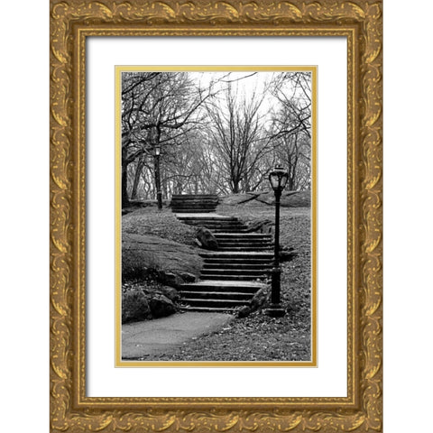Central Park Stairs To Nowhere Gold Ornate Wood Framed Art Print with Double Matting by Grey, Jace