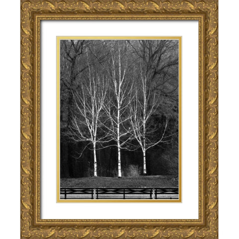 Central Park Three Amigos Fall Gold Ornate Wood Framed Art Print with Double Matting by Grey, Jace